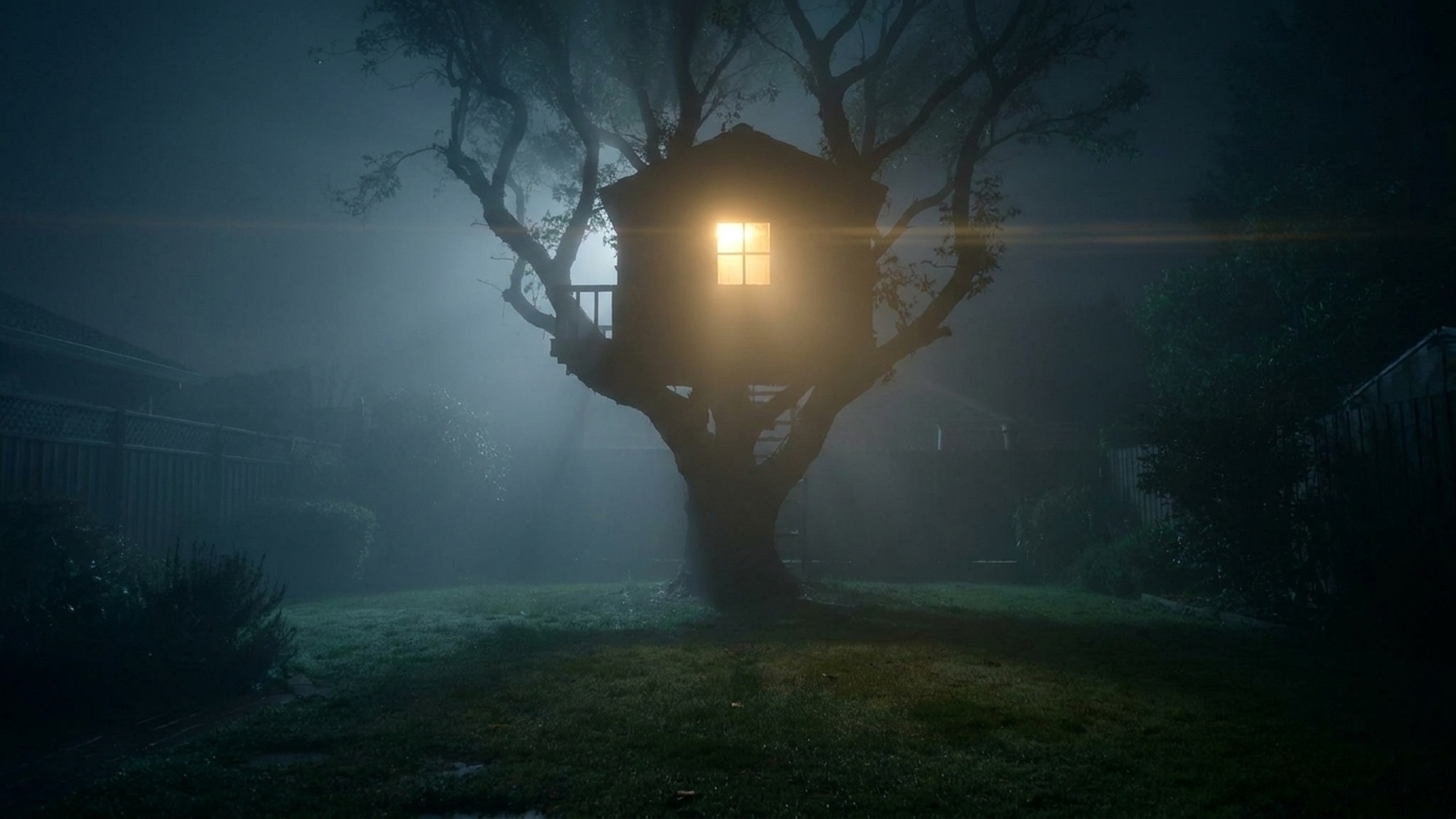 Treehouse, Friday night